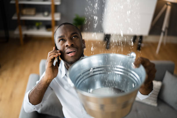 Best Flood restoration services  in Sparks, NV