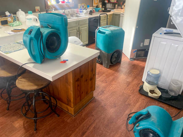 Best Mold removal after water damage  in Sparks, NV