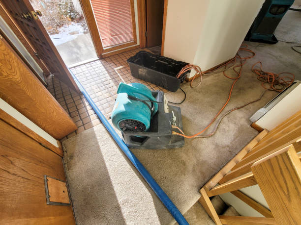 Best Water damage restoration near me  in Sparks, NV