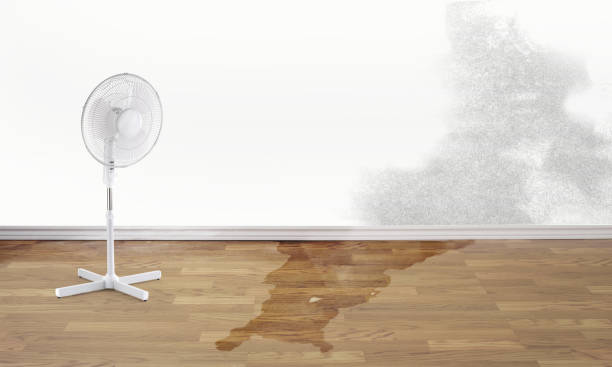 Trusted Sparks, NV Water damage restoration Experts