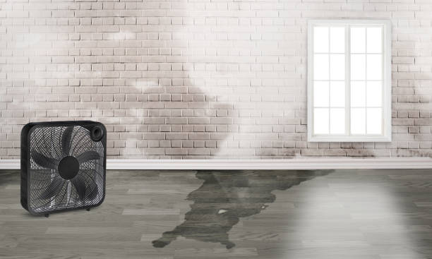 Local water damage restoration in Sparks, NV