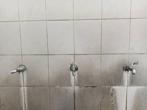 Best Flooded house restoration  in Sparks, NV