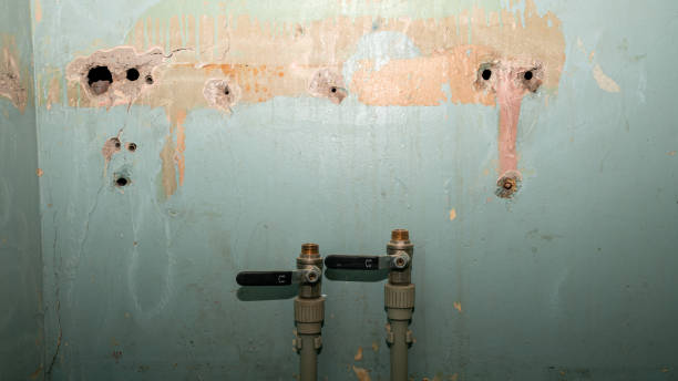 Best Flood damage cleanup  in Sparks, NV