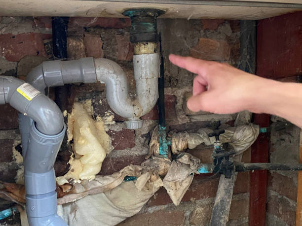 Best Carpet water damage restoration  in Sparks, NV