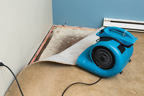 Best Sewage cleanup and water damage restoration  in Sparks, NV